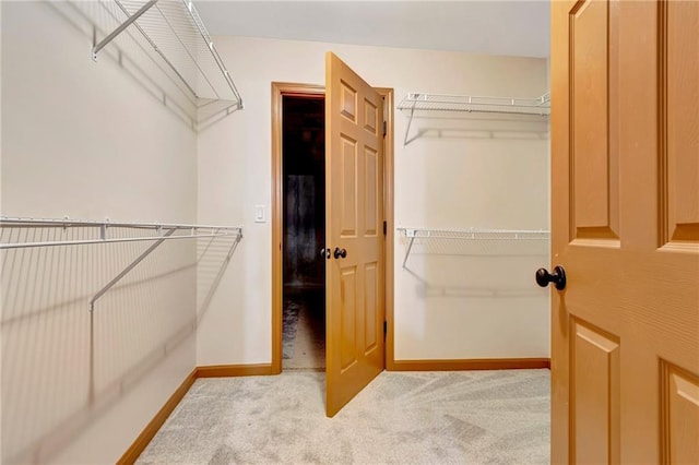 walk in closet with light carpet