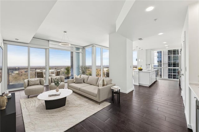 living room featuring floor to ceiling windows and dark hardwood / wood-style floors