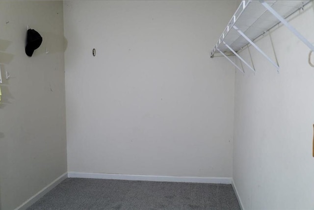 walk in closet with dark carpet