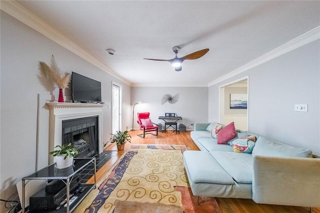 living area with crown molding, a fireplace with flush hearth, wood finished floors, and ceiling fan