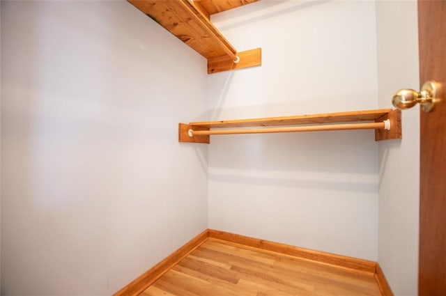 spacious closet featuring wood-type flooring