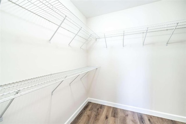 walk in closet with hardwood / wood-style floors