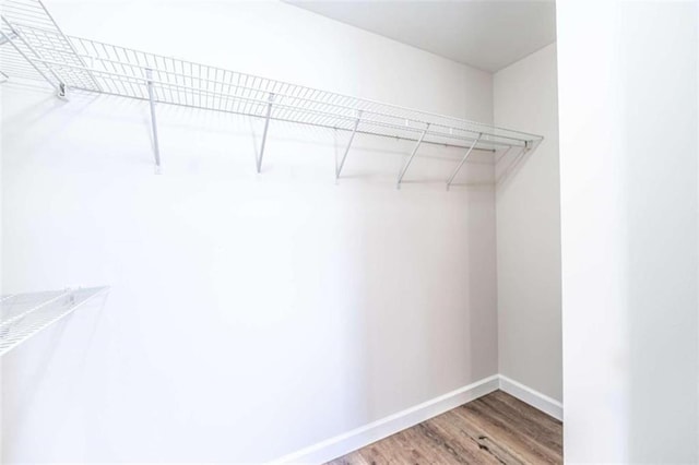 walk in closet featuring hardwood / wood-style flooring