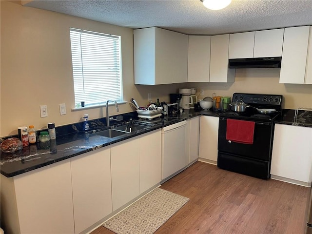 kitchen featuring black / electric stove, dishwasher, a sink, under cabinet range hood, and light wood-style floors