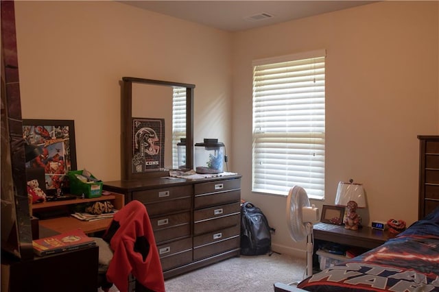 20 Autumn Canyon Path SE, Cartersville, GA 30121 - bedroom with carpet flooring and multiple windows