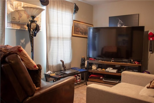 20 Autumn Canyon Path SE, Cartersville, GA 30121 - carpeted living room with healthy amount of natural light