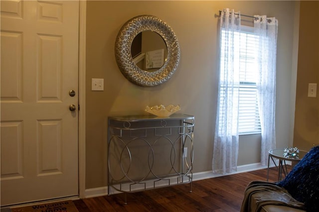 20 Autumn Canyon Path SE, Cartersville, GA 30121 - entryway with healthy amount of natural light, wood finished floors, and baseboards