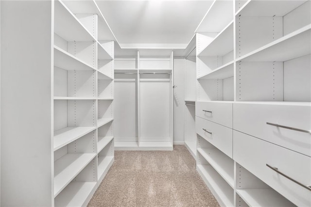 walk in closet featuring light carpet