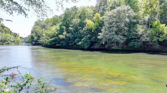 water view featuring a forest view