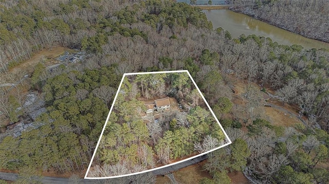 bird's eye view featuring a water view and a wooded view