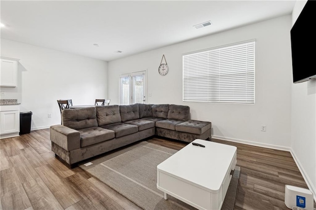 living room featuring hardwood / wood-style floors