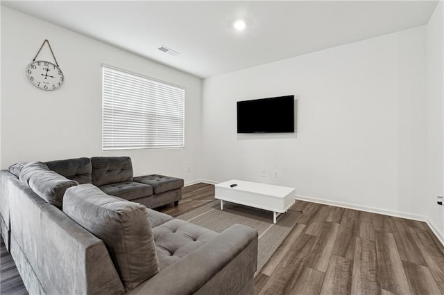 living room featuring wood-type flooring