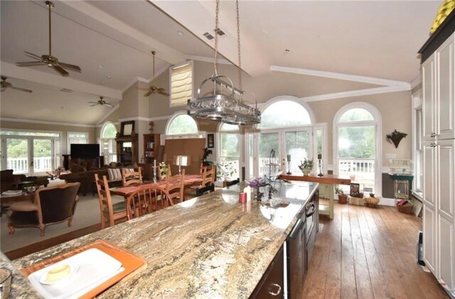 kitchen with dark hardwood / wood-style flooring, white cabinetry, a healthy amount of sunlight, and light stone counters