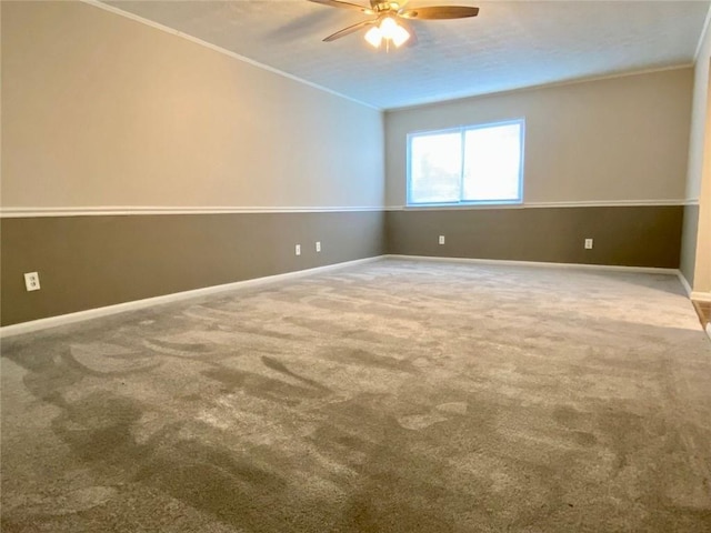 carpeted spare room with ceiling fan and ornamental molding