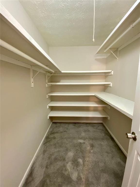 walk in closet with dark carpet