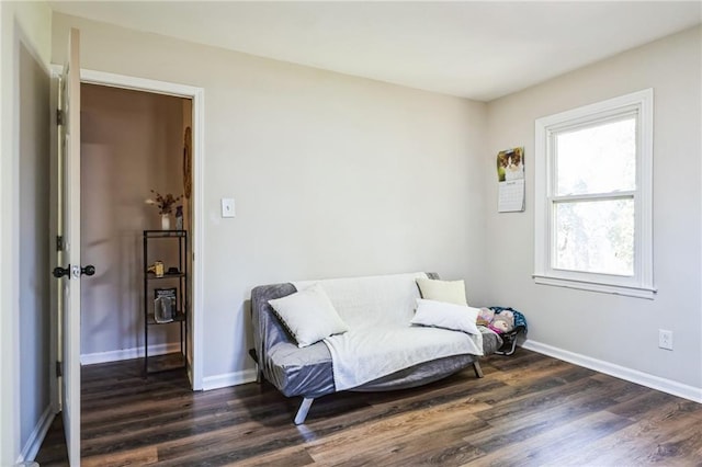 living area featuring dark hardwood / wood-style floors