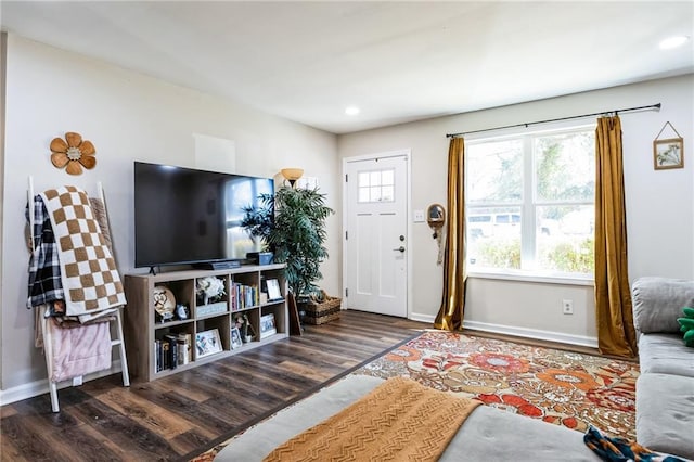 living room with dark hardwood / wood-style floors