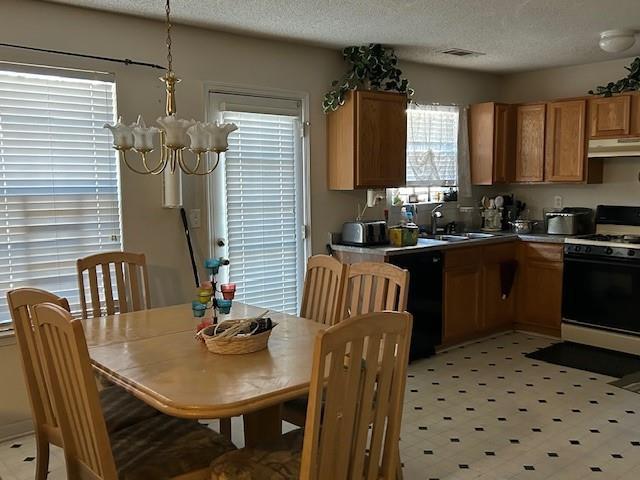 kitchen with a textured ceiling, dishwasher, white range with gas stovetop, and sink