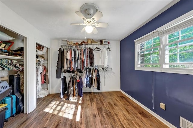 spacious closet featuring ceiling fan and wood-type flooring