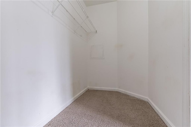 walk in closet featuring carpet floors