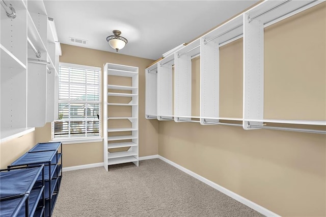 walk in closet featuring carpet