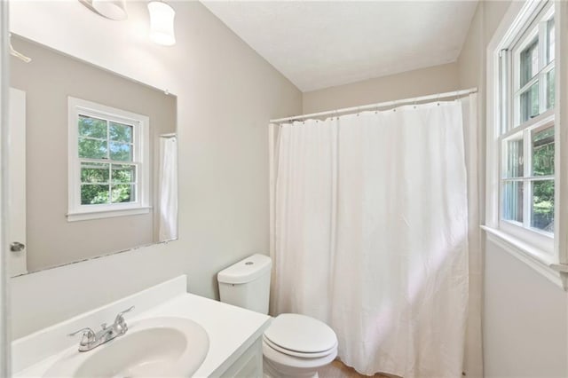 3388 Hamilton Mill Rd, Buford, GA 30519 - bathroom featuring toilet, vanity, and a shower with shower curtain