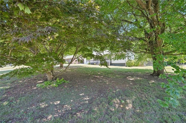 3388 Hamilton Mill Rd, Buford, GA 30519 - view of yard
