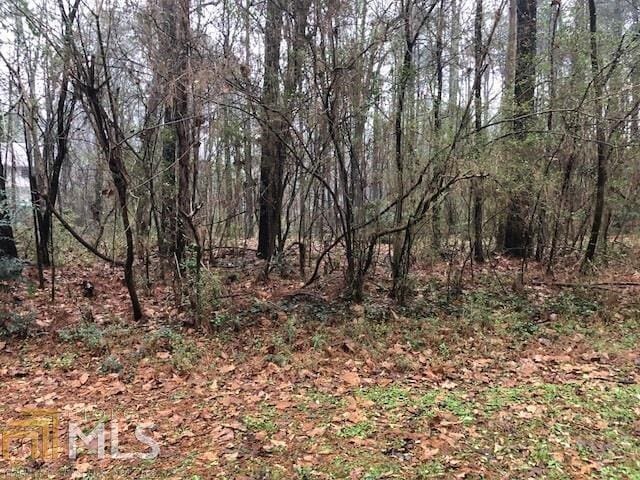 5743 Tunbridge Wells Rd, Lithonia, GA 30058