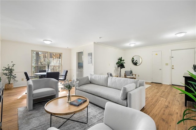 living room featuring light wood-style flooring and ornamental molding