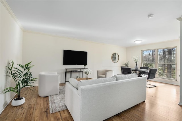 living room with wood finished floors, baseboards, and ornamental molding