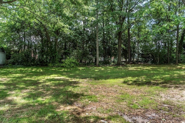8420 Sheridan Dr, Jonesboro, GA 30236 - view of green lawn