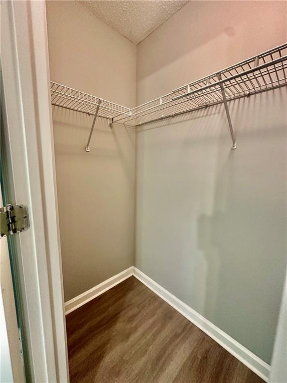 walk in closet with dark wood-style flooring