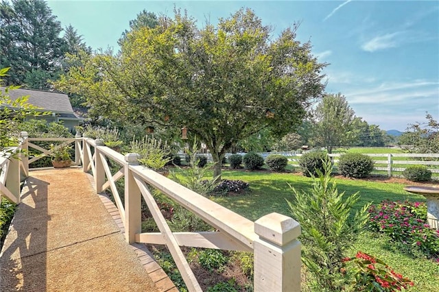 476 Franklin St, Dillard, GA 30537 - view of yard