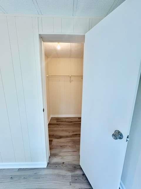 walk in closet with light wood-type flooring