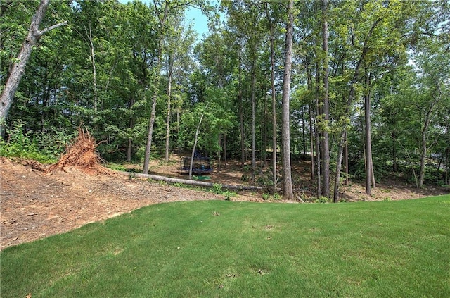 884 Oxford Rd, Ball Ground, GA 30107 - view of green lawn