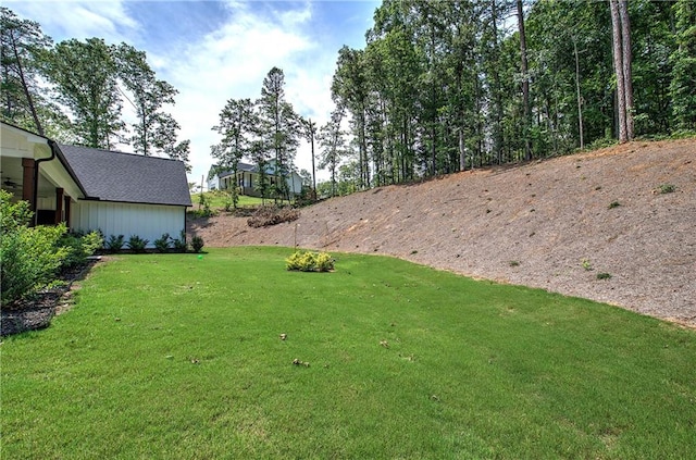 884 Oxford Rd, Ball Ground, GA 30107 - view of green lawn