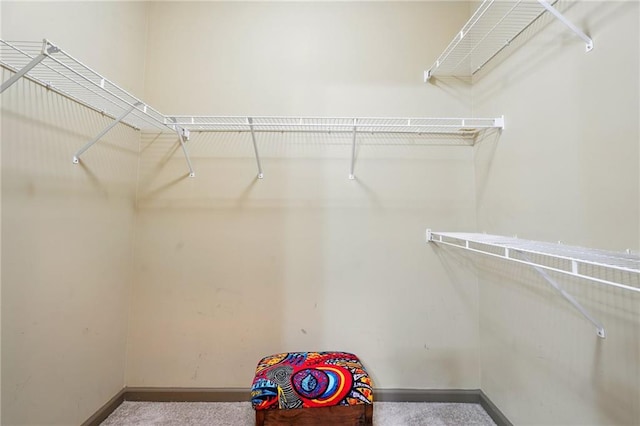 spacious closet with carpet