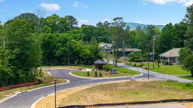 13 Coggins Pl, Rome, GA 30165 - view of property's community with curved driveway