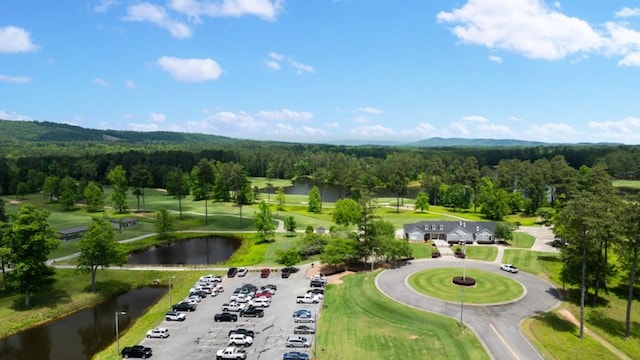 13 Coggins Pl, Rome, GA 30165 - bird's eye view of a large body of water and a forest