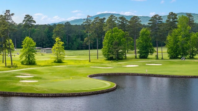 13 Coggins Pl, Rome, GA 30165 - view of home's community featuring a water and mountain view, golf course view, and a yard