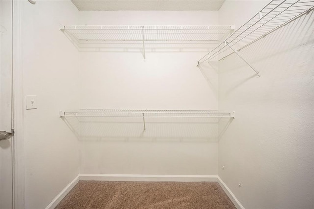 walk in closet featuring carpet floors