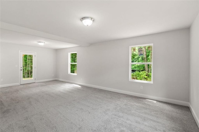 5209 Waterworks Rd, Jefferson, GA 30549 - empty room with plenty of natural light, baseboards, and carpet flooring