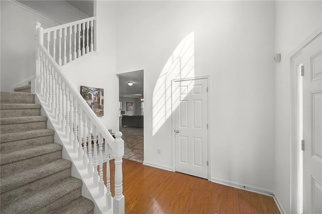 staircase featuring a high ceiling and wood finished floors