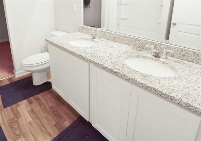 20 Sloane Ct, Covington, GA 30016 - bathroom featuring wood finished floors, toilet, double vanity, and a shower with shower curtain