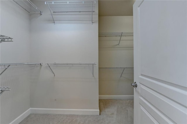 walk in closet featuring carpet flooring