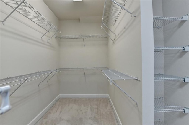 walk in closet with light colored carpet