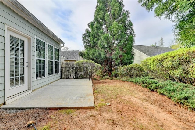 view of yard featuring a patio area