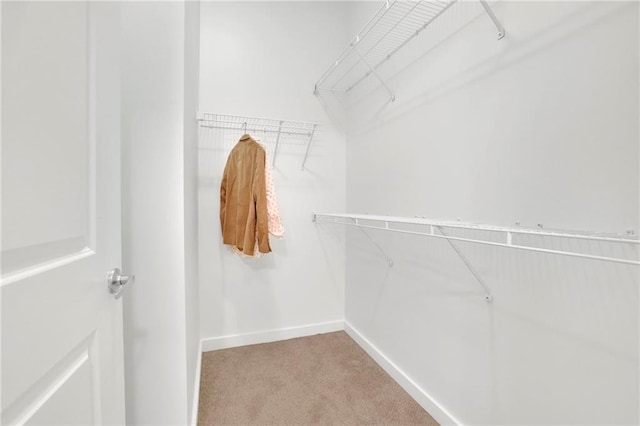 spacious closet with carpet floors