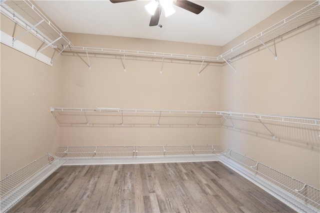 walk in closet featuring hardwood / wood-style flooring and ceiling fan