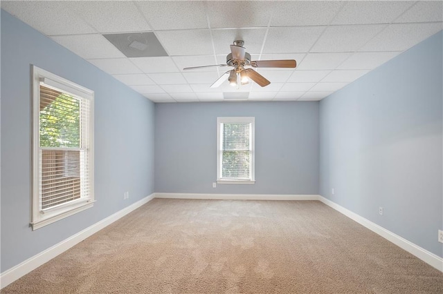 spare room with ceiling fan, a paneled ceiling, and carpet flooring